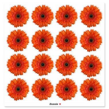 16 Orange Gerbera Daisy Flower Kiss-Cut Stickers