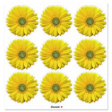 9 Yellow Gerber Daisy Flower Kiss-Cut Stickers