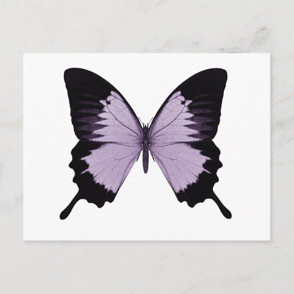 Big Purple & Black Butterfly PostInvitations