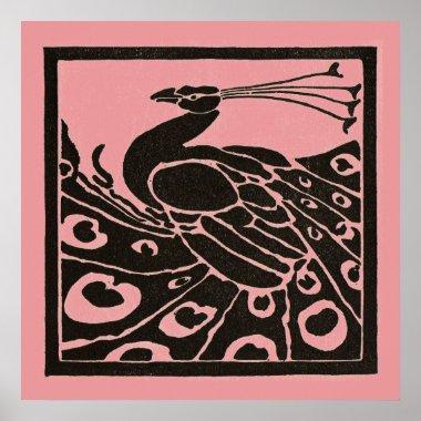 BLACK AND PINK PEACOCK POSTER
