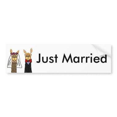 Funny Llama Bride and Groom Wedding Art Bumper Sticker