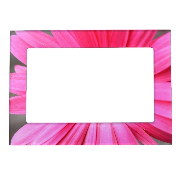 Hot Pink Daisy Magnetic Picture Frame