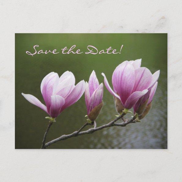 Magnolias, Save the Date! Announcement PostInvitations