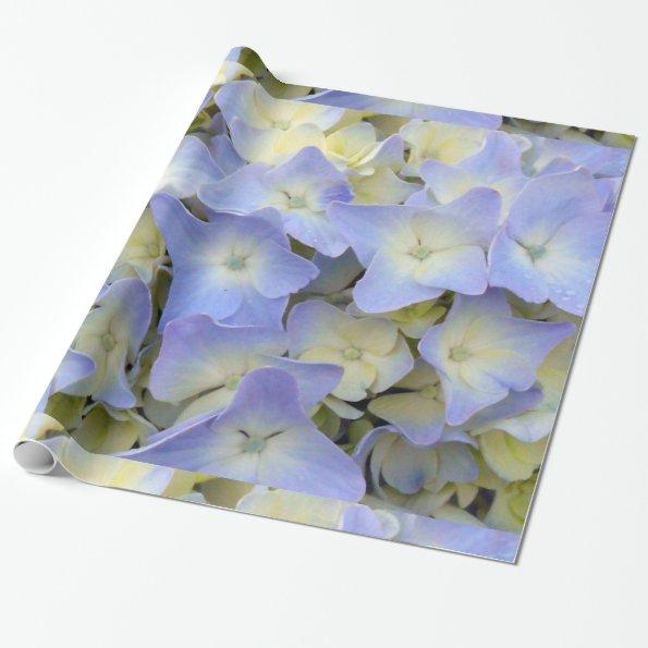 Pretty and Colorful Light Blue Hydrangea Flowers Wrapping Paper