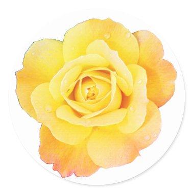 Rose Flower Floral Orange Yellow Easter Spring Classic Round Sticker