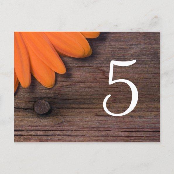 Rustic Orange Daisy Country Wedding Table Numbers