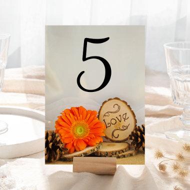 Rustic Orange Daisy Woodland Wedding Table Numbers