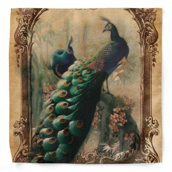 victorian french country modern vintage peacock bandana