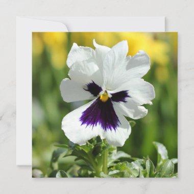 White and Purple Pansy Bridal Shower Invitations