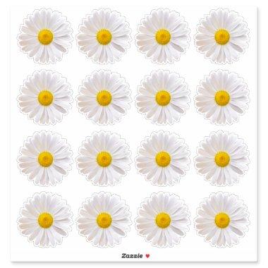 16 Shasta Daisy Flower Kiss-Cut Stickers