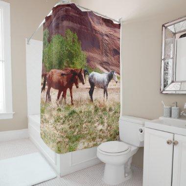 3 Horses in Canyon de Chelly Shower Curtain