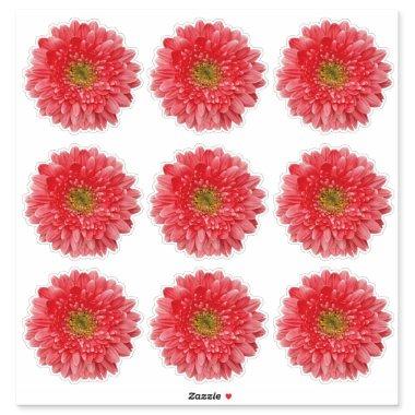 9 Coral Gerbera Daisy Flower Kiss-Cut Stickers