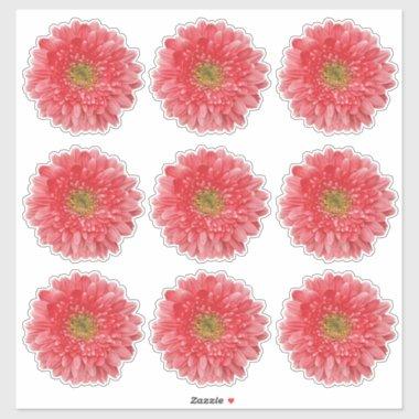 9 Coral Gerbera Daisy Flower Kiss-Cut Stickers