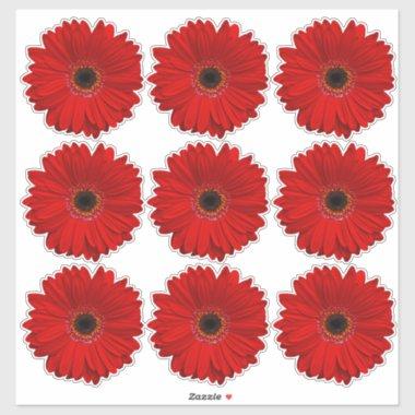 9 Red Gerber Daisy Flower Kiss-Cut Stickers