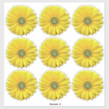 9 Yellow Gerber Daisy Flower Kiss-Cut Stickers