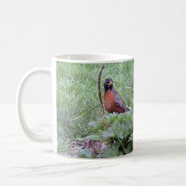 American Robin (Male) Mug