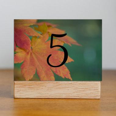 Autumn Colors Wedding Table Numbers