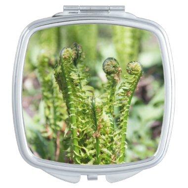 Awakening young fern in the garden  compact mirror