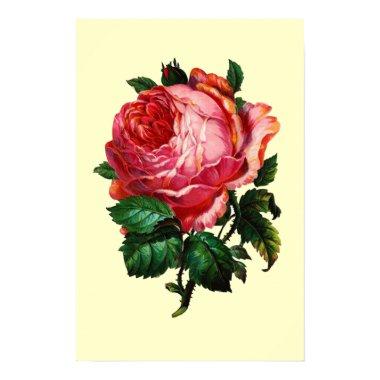 BEAUTIFUL PINK ROSE POSTER