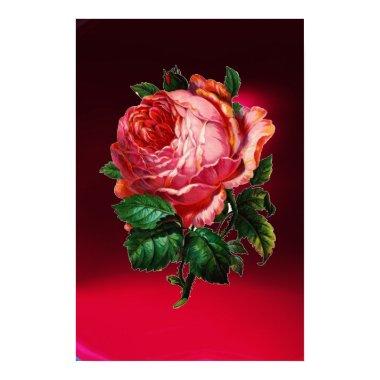 BEAUTIFUL PINK ROSE POSTER