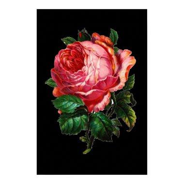 BEAUTIFUL PINK ROSE POSTER