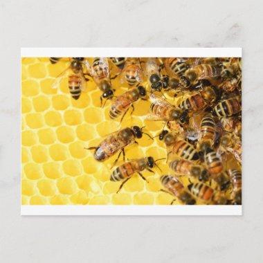 Bee Bees Hive Honey Comb Sweet Dessert Yellow PostInvitations