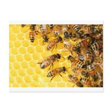 Bee Bees Hive Honey Comb Sweet Dessert Yellow PostInvitations