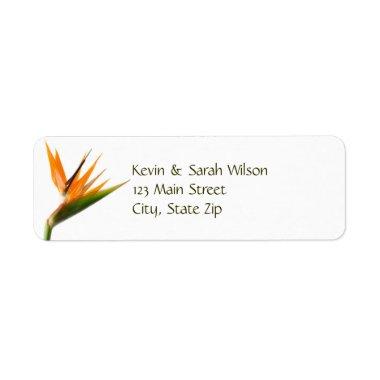 Bird of Paradise Return Address Labels