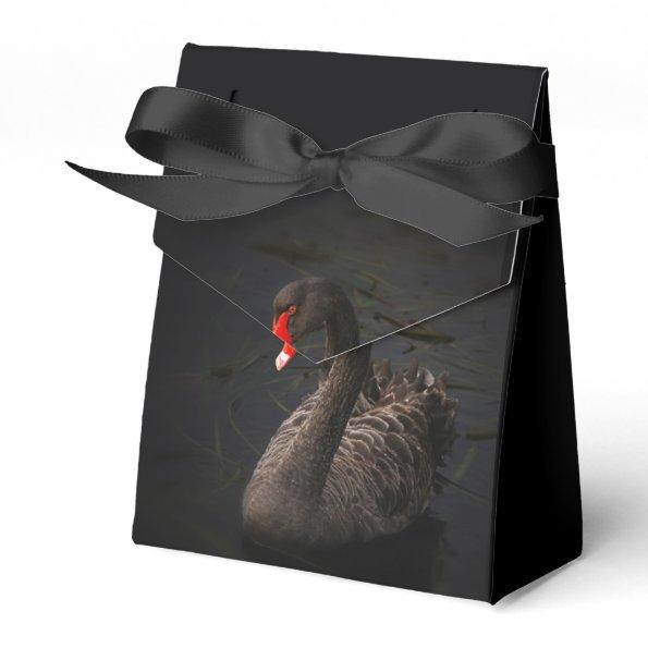 Black Swan Favor Boxes