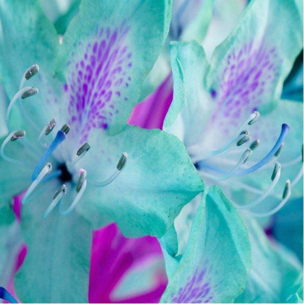 Blue Floral Photo Sculpture