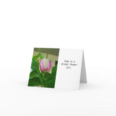Purple & White Orchid bud