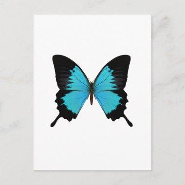 Bright Blue & Black Butterfly Original Colors PostInvitations