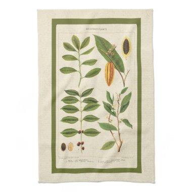 Coffee Antique Tea Botanical Beverage Plants Chart Towel