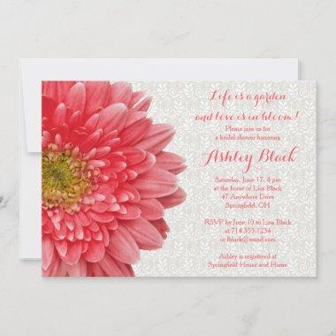 Coral Gerber Daisy Lace Bridal Shower Invitations