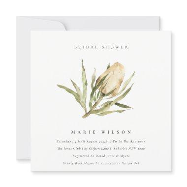 Cute Native Banksia Watercolor Flora