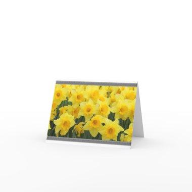 DAFFODIL NOTE