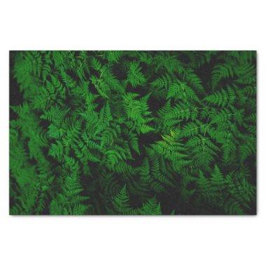 Dinosaur Forest Tissue Paper