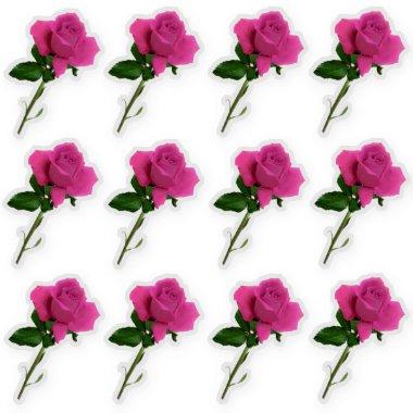 Dozen Long Stem Pink Rose Sheet Sticker