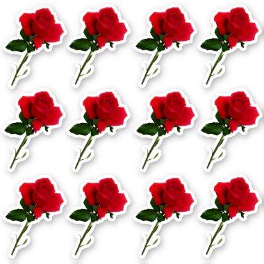 Dozen Long Stem Red Rose Sheet Sticker