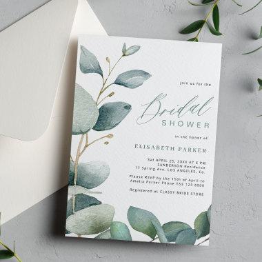 Elegant eucalyptus greenery foliage