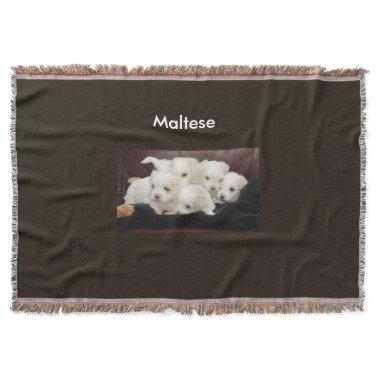 Five Maltese Puppies on a Blanket Throw