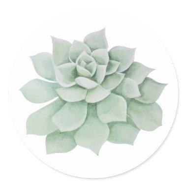 Floral Mint Green Succulent Cactus Classic Round Sticker