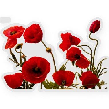 Floral Red Poppy Flowers Colorful Watercolor Art Sticker