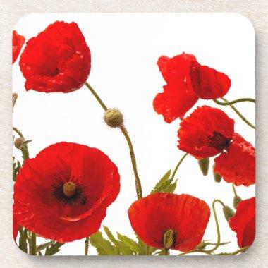 Floral Red Poppy Flowers White Background Spring Beverage Coaster