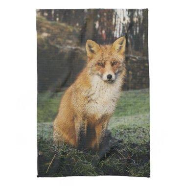 fox kitchen towel, foxy tea towel, fox cub home de kitchen towel