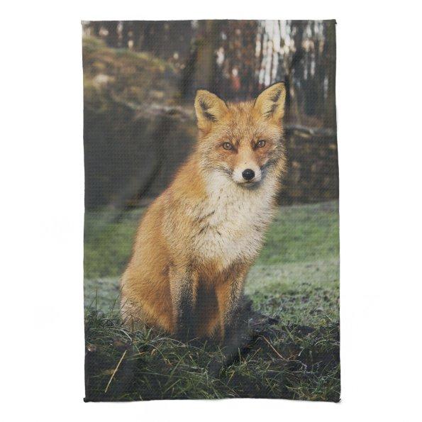 fox kitchen towel, foxy tea towel, fox cub home de kitchen towel