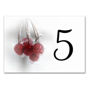 Frosty Red Berries Table Numbers