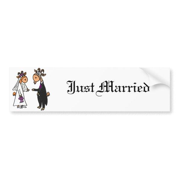 Funny Bride and Groom Goat Wedding Bumper Sticker