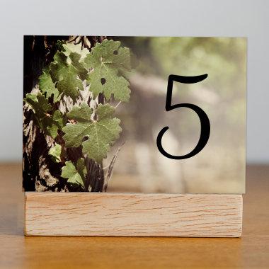 Grape Leaves Vineyard Table Numbers