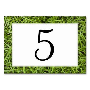 Green Grass Table Numbers